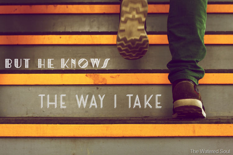 Job 23:10 Know path