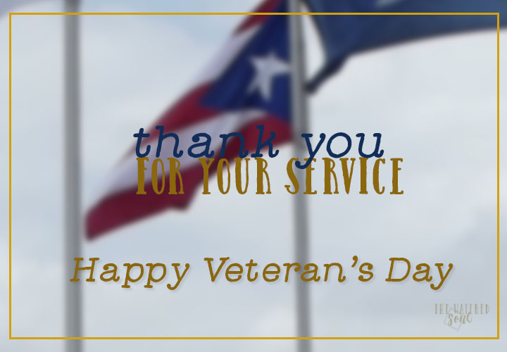 Veteran's Day 2015